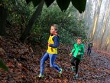 2017-01-08 Cross AVO 83 - 077